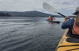 Dos kayaks avanzan sobre el Lago Aluminé, dejando pequeñas estelas frente a un cerro gris bajo el cielo patagónico.