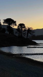 Atardecer en Villa Pehuenia con siluetas de araucarias sobre un cielo ocre y dorado.