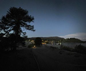 Araucaria en primer plano al atardecer con vista del Lago Aluminé y la Cordillera de los Andes.