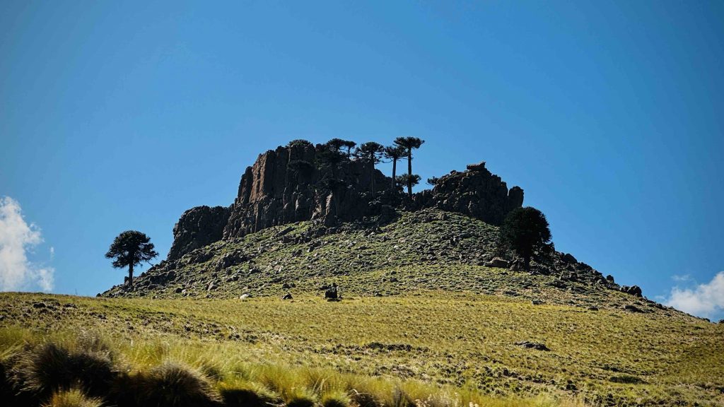 Formaciones rocosas de la estepa patagónica coronadas por araucarias en la precordillera de los Andes.