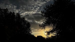 Anochece sobre Villa Pehuenia: una araucaria en primer plano recorta su silueta contra el cielo encendido del atardecer.